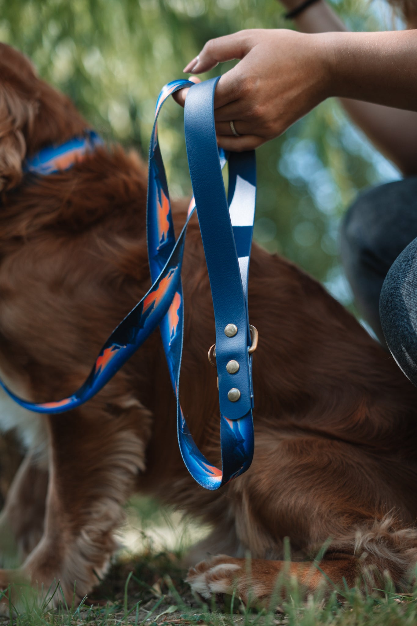 Nos laisses pour chiens en fin de série