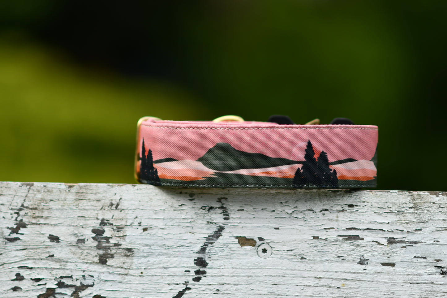 Collier pour chien - Oregon