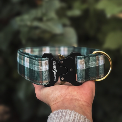 Collier pour chien - Tartan Greenmoore
