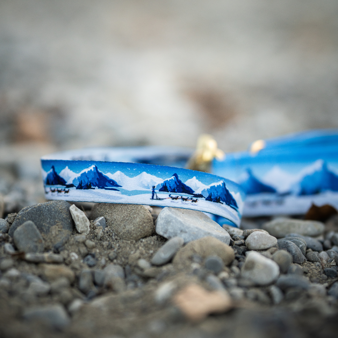 Laisse pour chien Yukon & Biothane bleu polaire