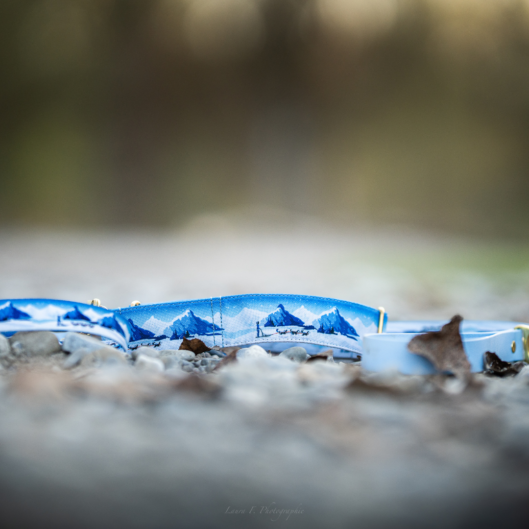 Collier pour chien - Yukon