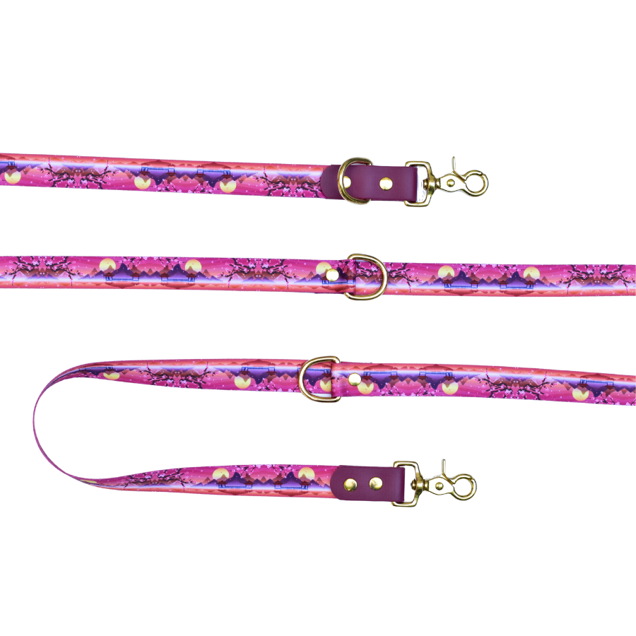 Laisse Sakura & Biothane Vin rouge