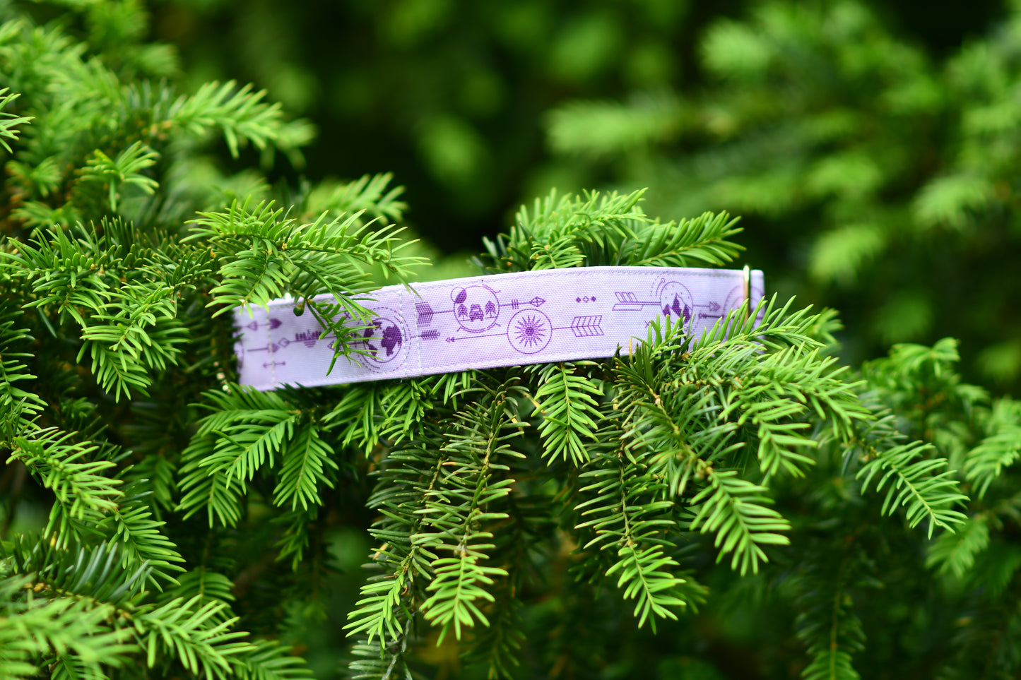 Collier pour chien - Aventure Lilas