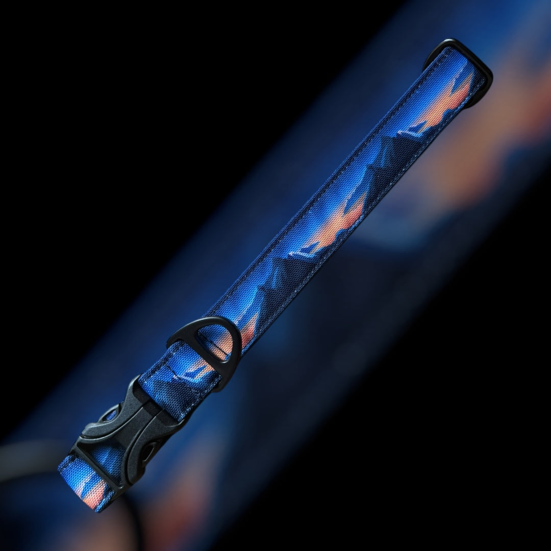 Collier Taille L - Clip plastique 25mm