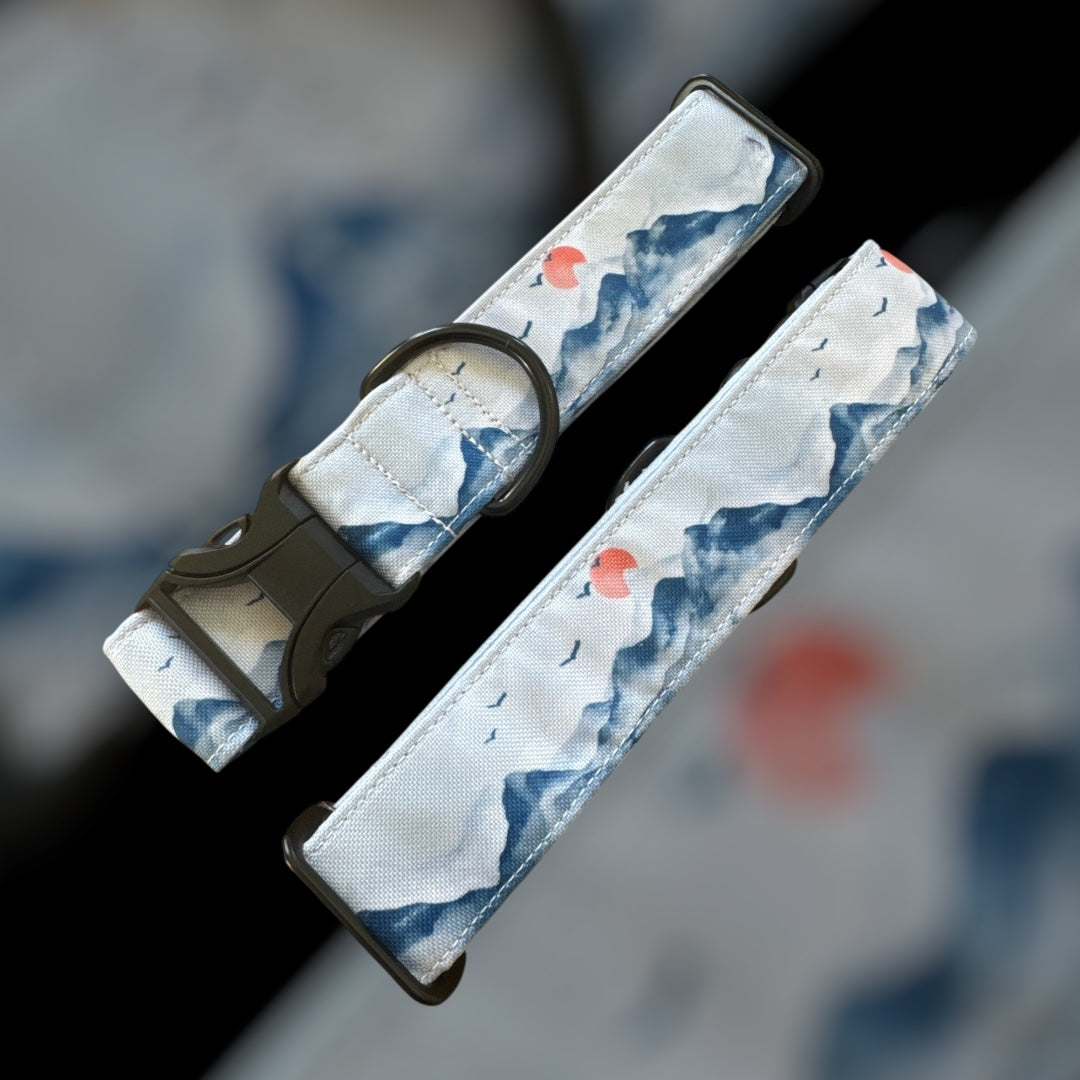 Collier Taille M - Clip plastique 38mm