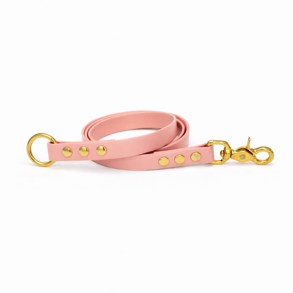 Laisse amovible en biothane® - Rose Or