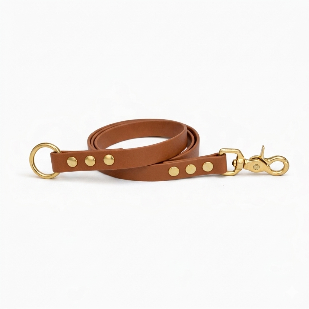 Laisse amovible en biothane® - Camel
