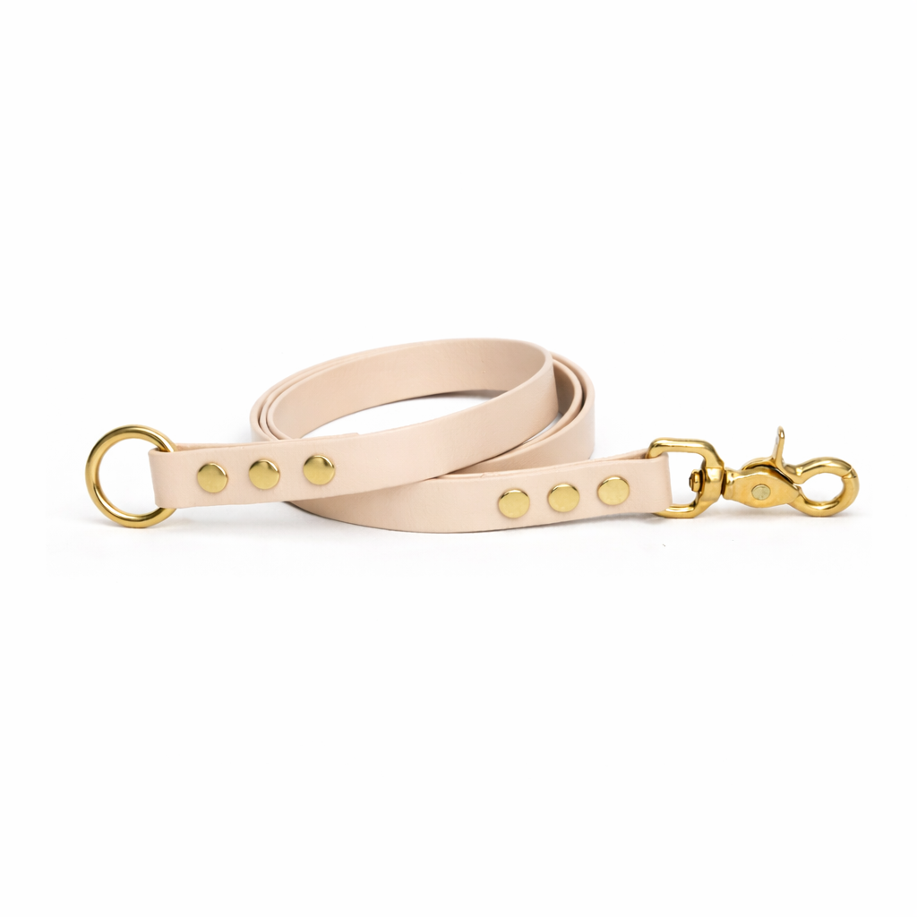 Laisse amovible en biothane® - Beige poudré