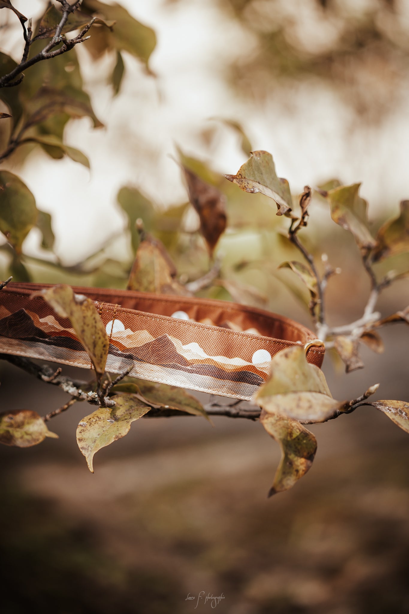 Collier pour chien - Dune