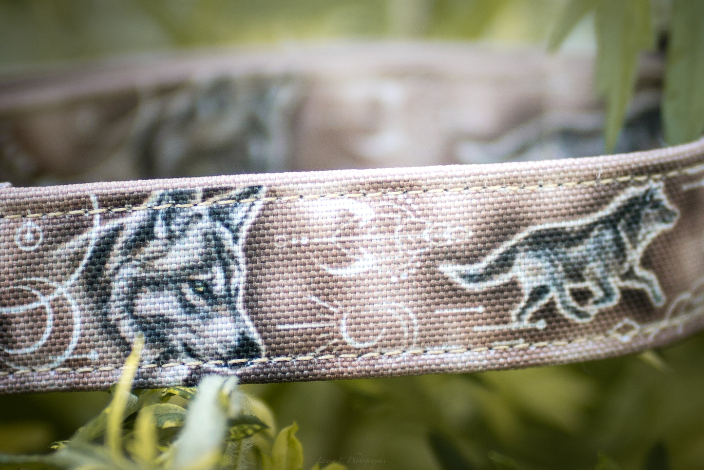 Loup beige - Collier pour chien
