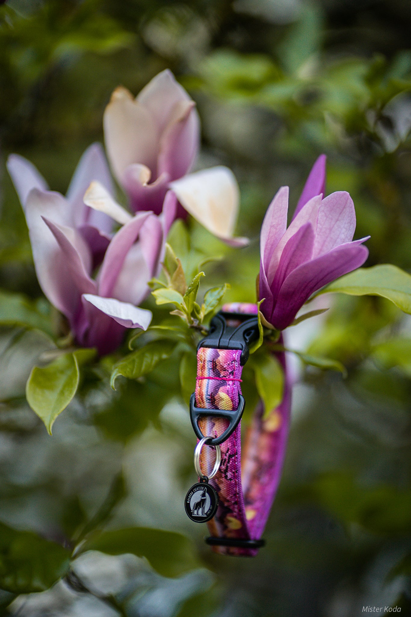 Collier pour chien - Sakura