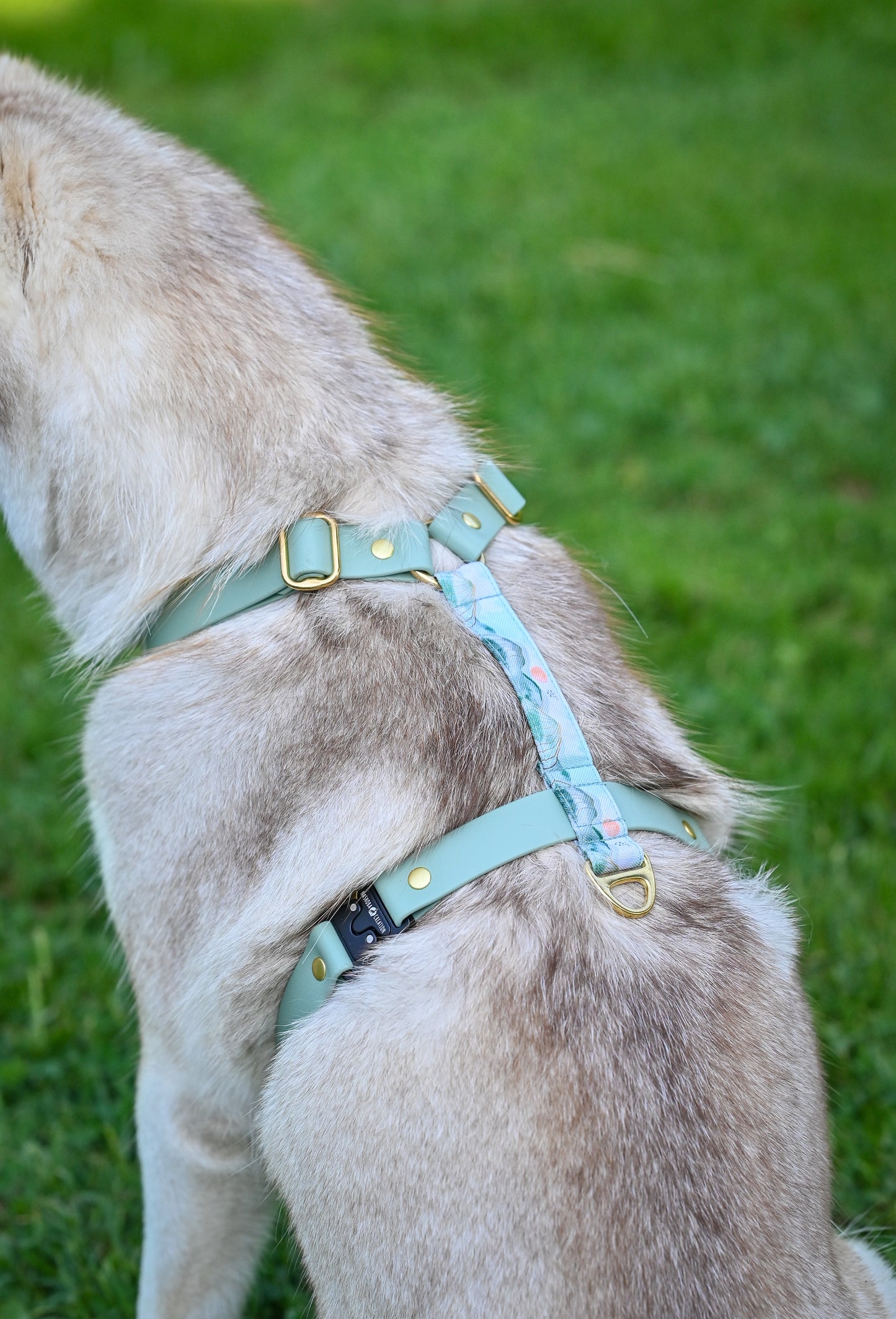 Harnais bi matière pour chien