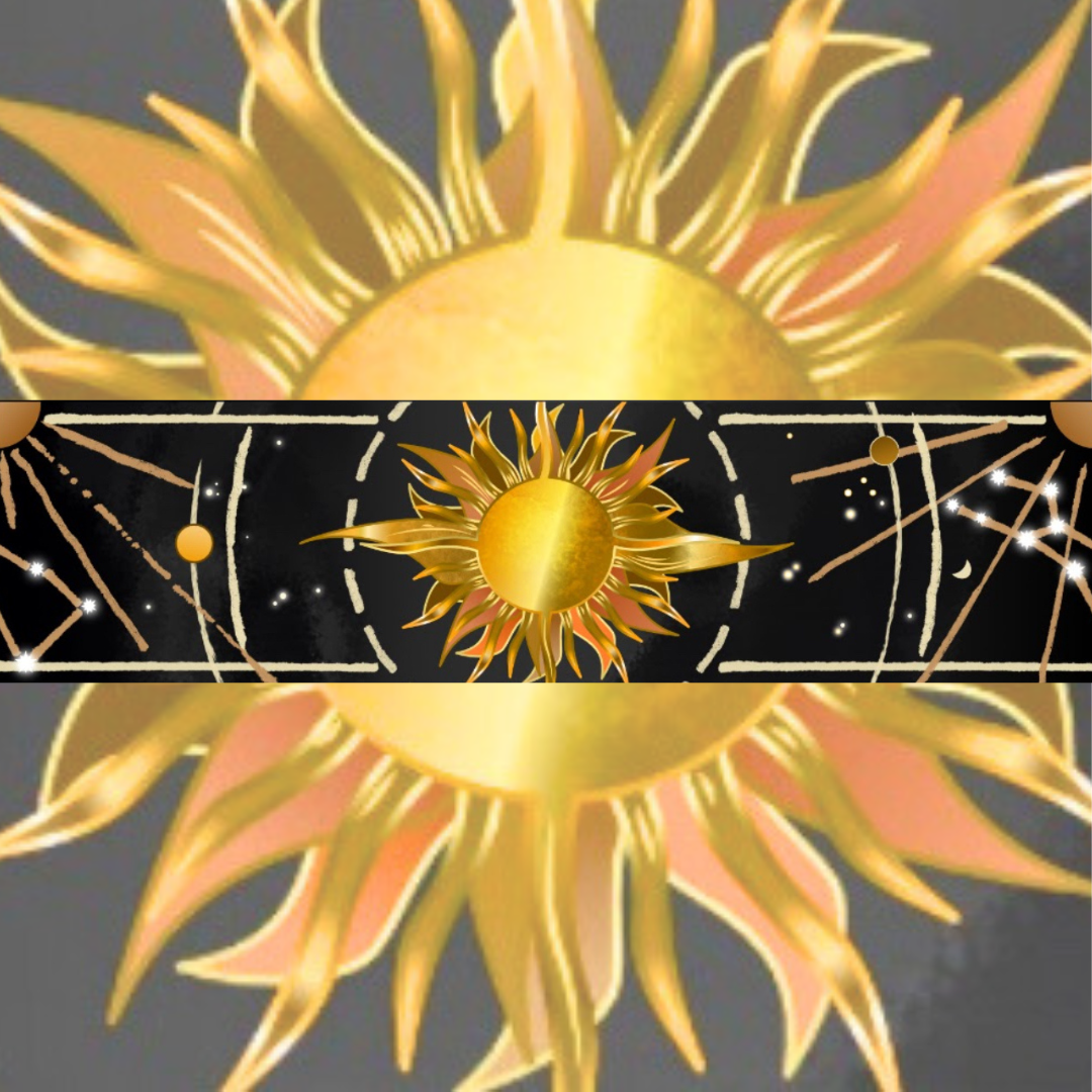 Harnais pour chien - Sun