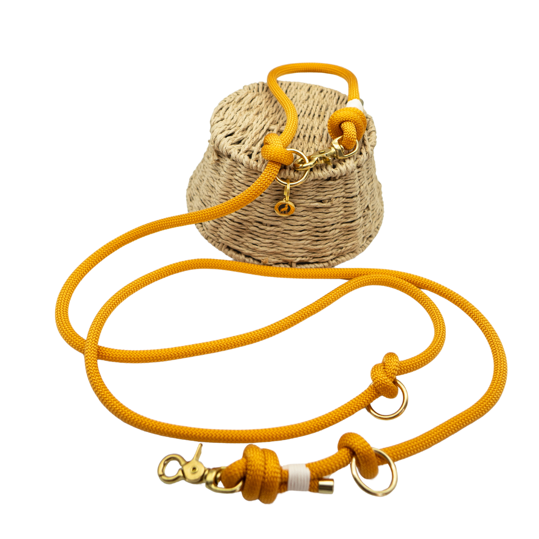Laisse en corde Abricot