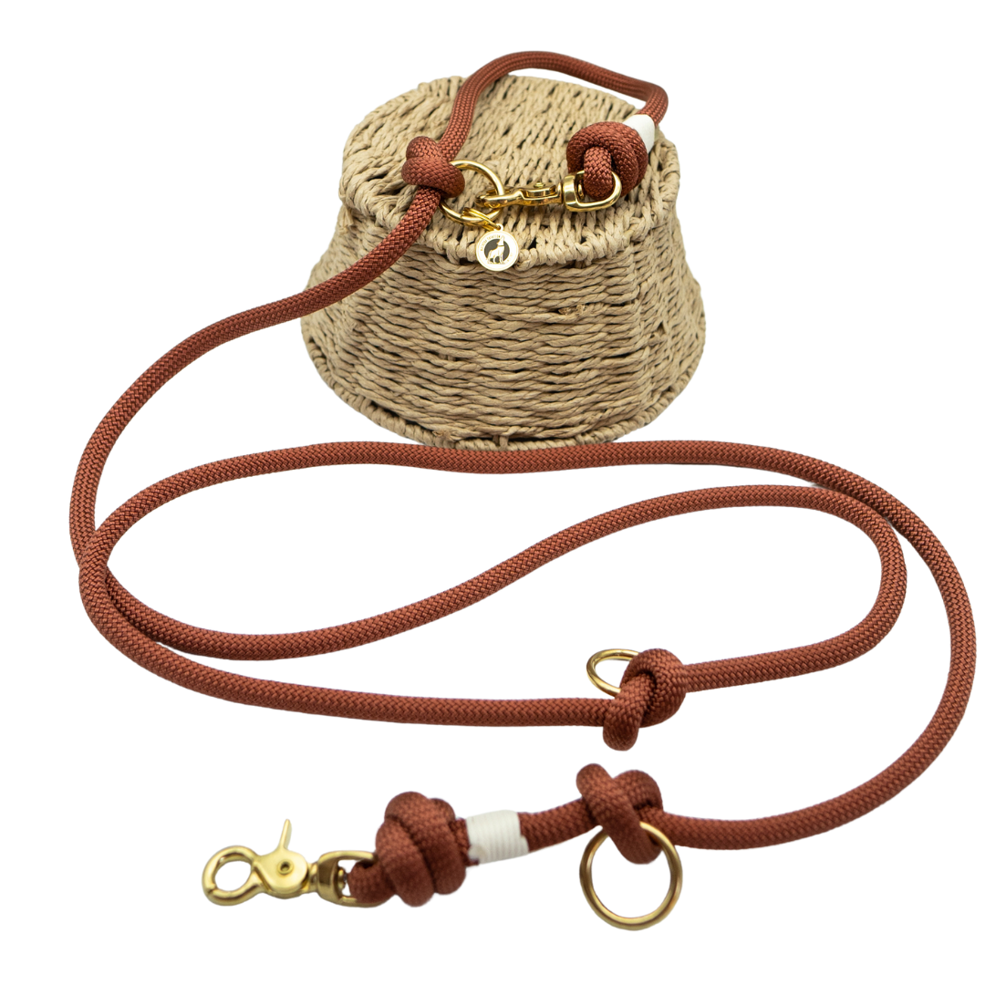 Laisse en corde Bronze