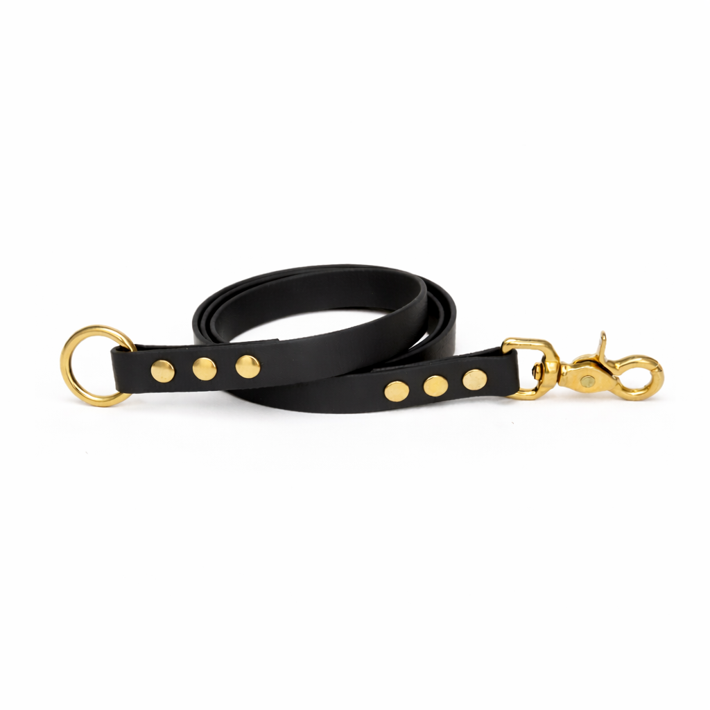 Laisse amovible en biothane® - Noir