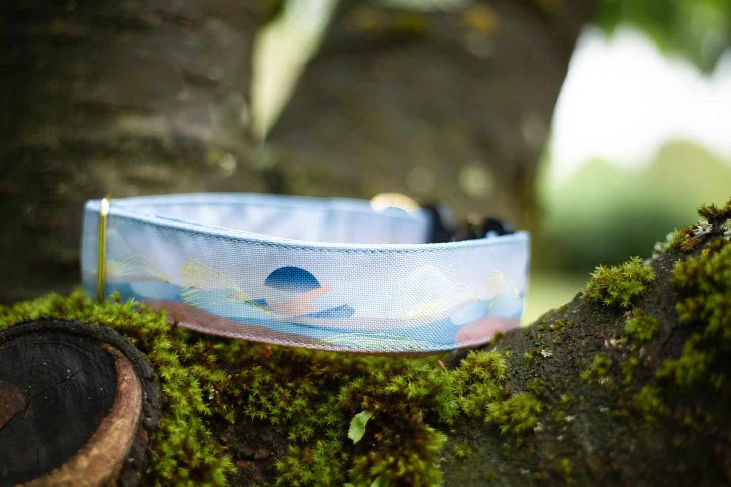 Collier pour chien Marama