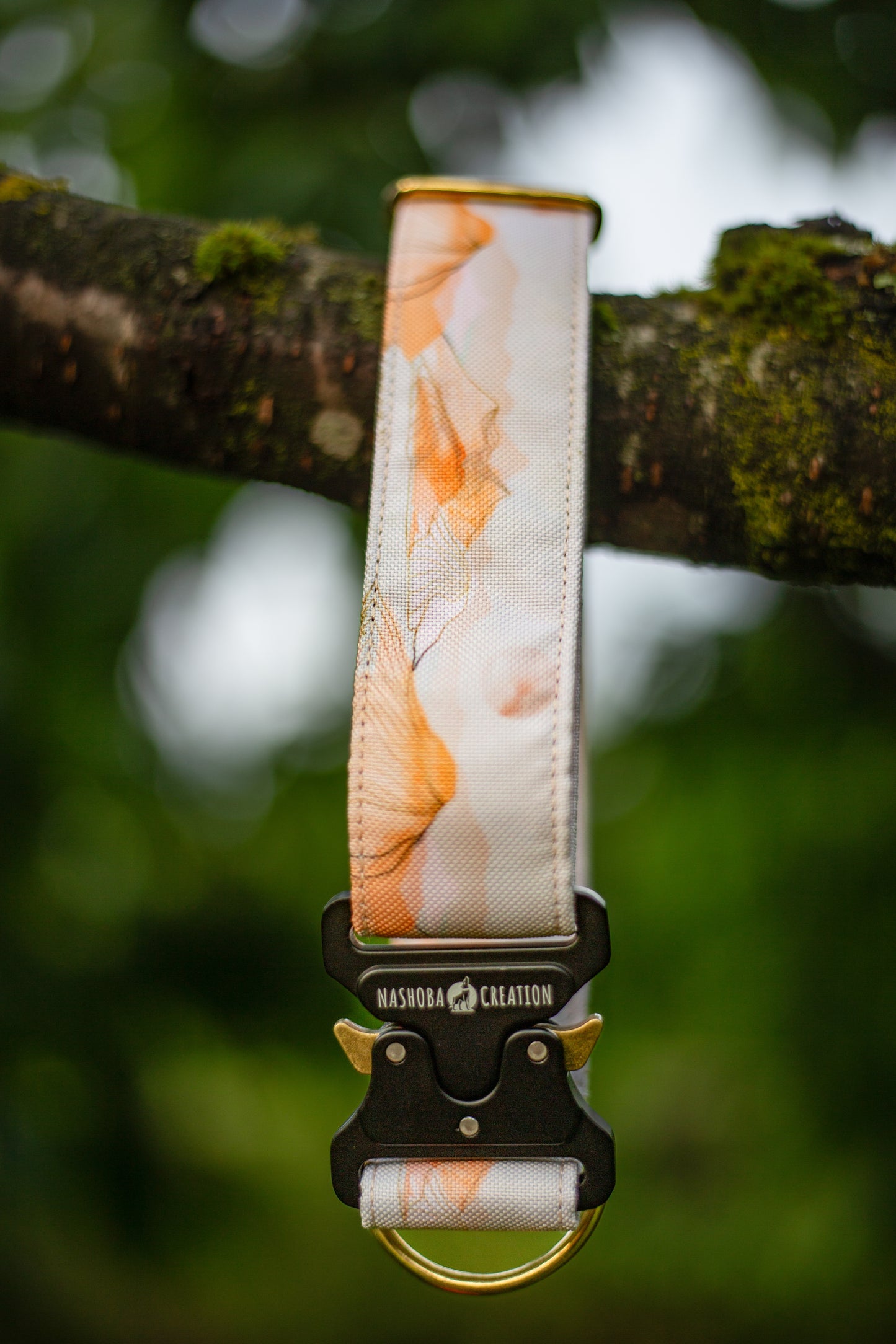 Collier pour chien - Talamanca