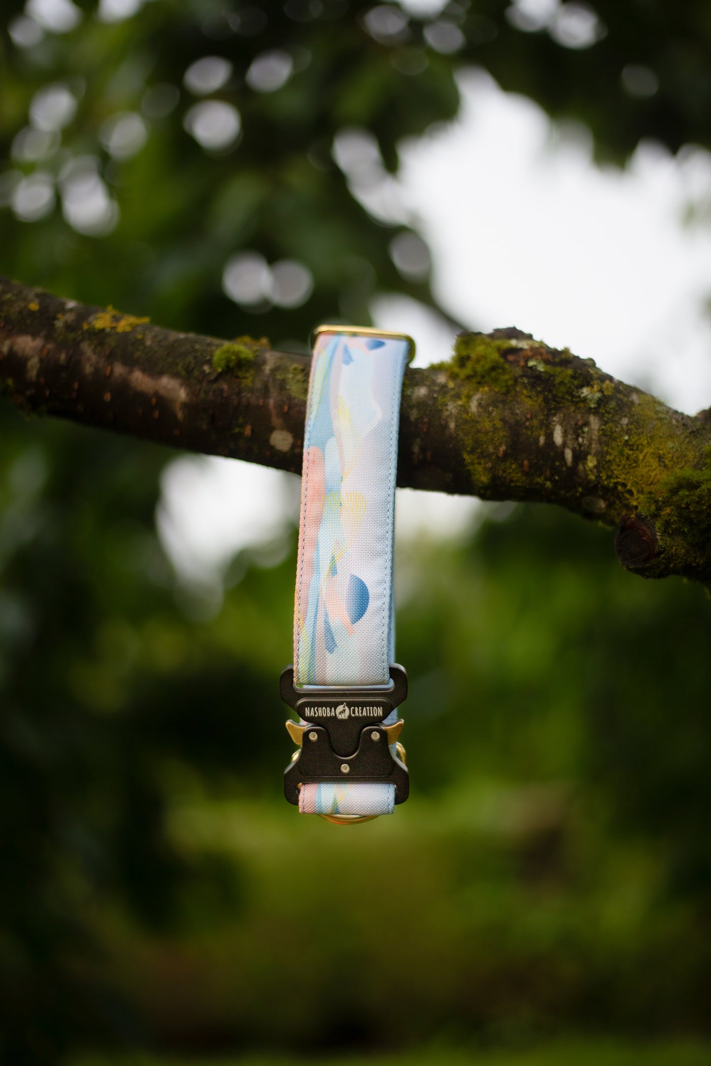 Collier pour chien Marama