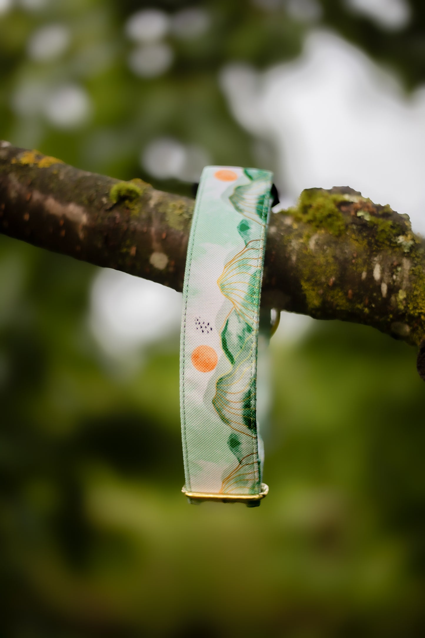 Collier pour chien Hohneck