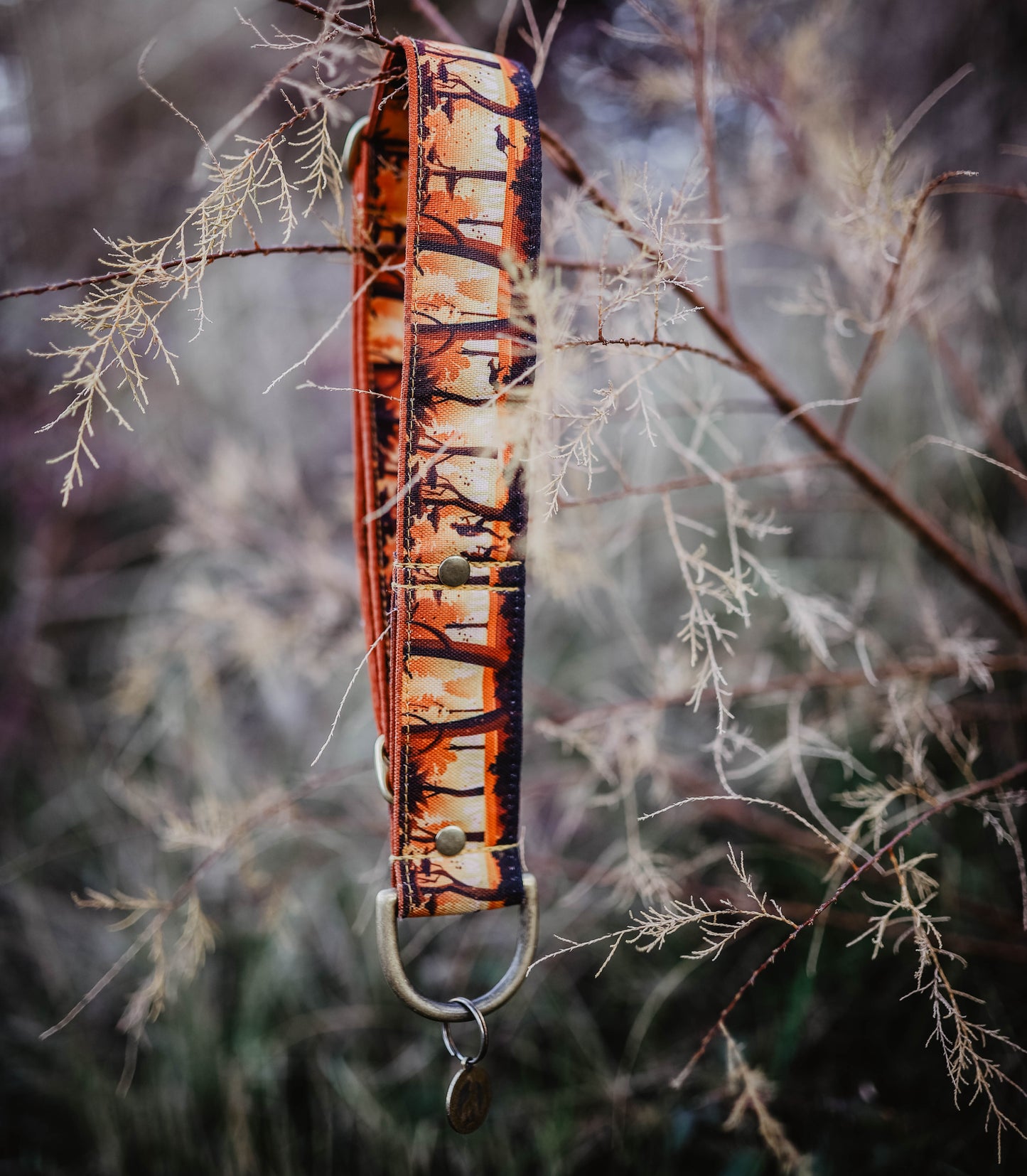 Collier pour chien - Automne Vibes