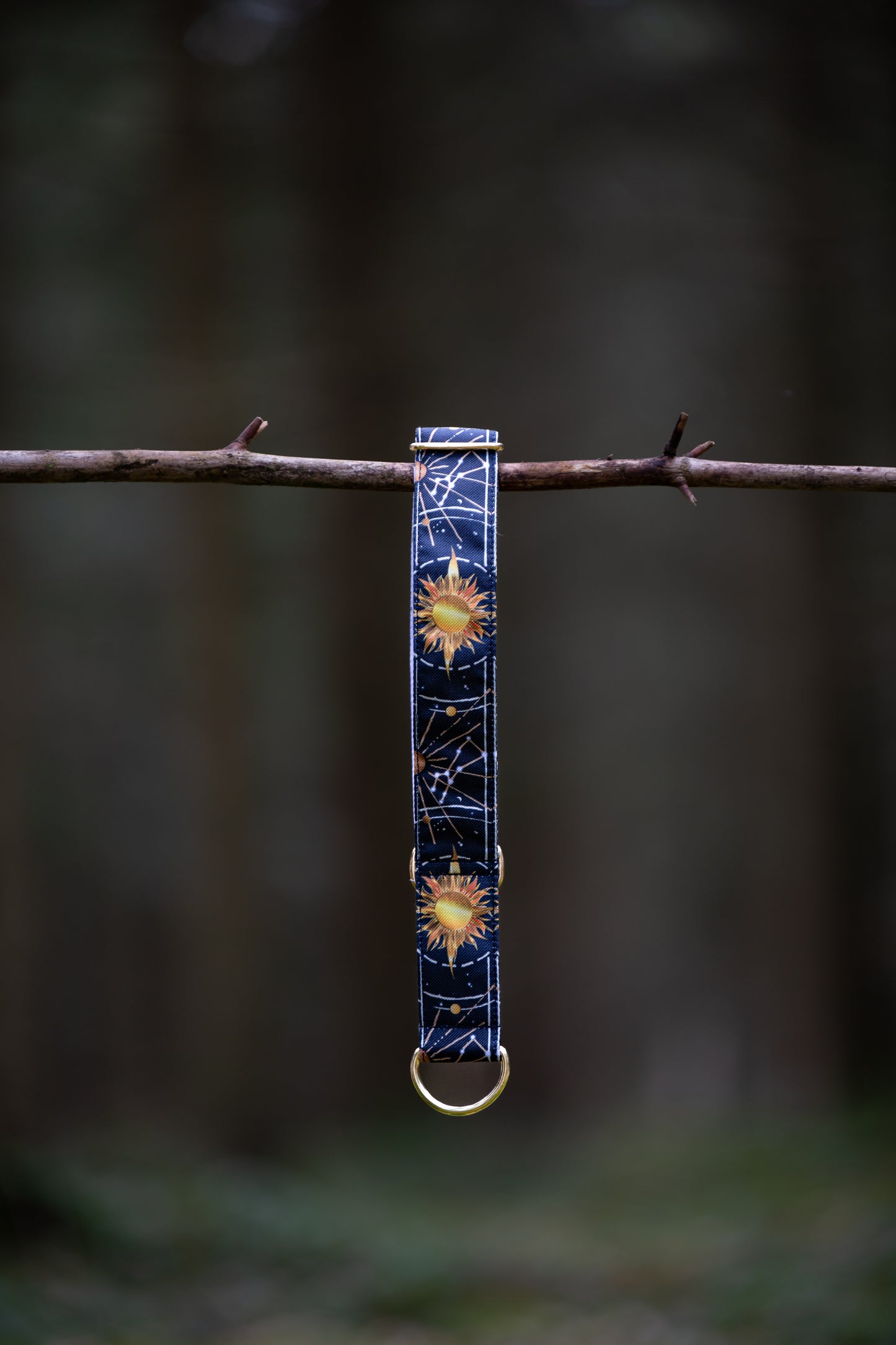 Collier pour chien - Sun