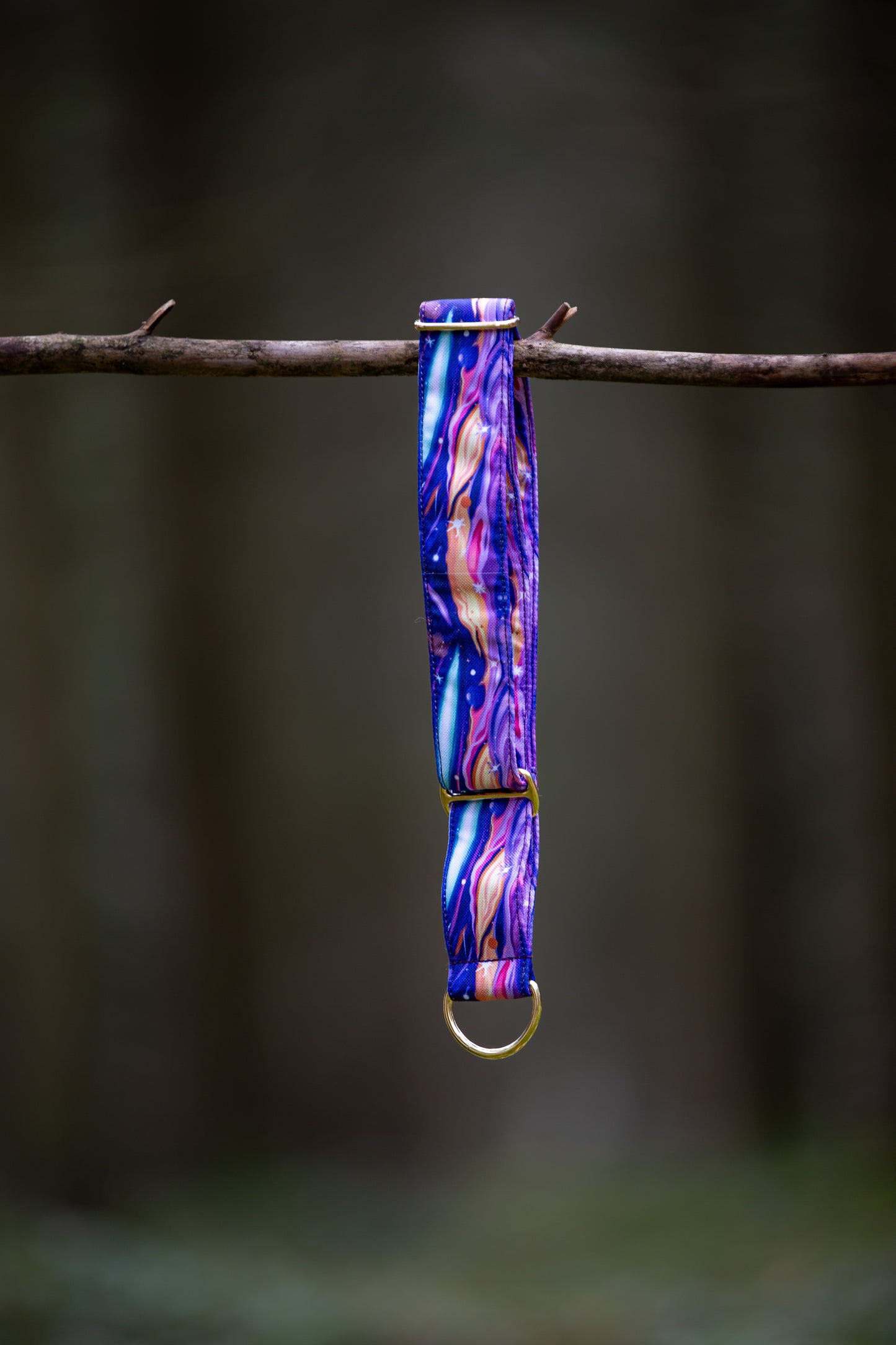 Collier pour chien - Cosmo