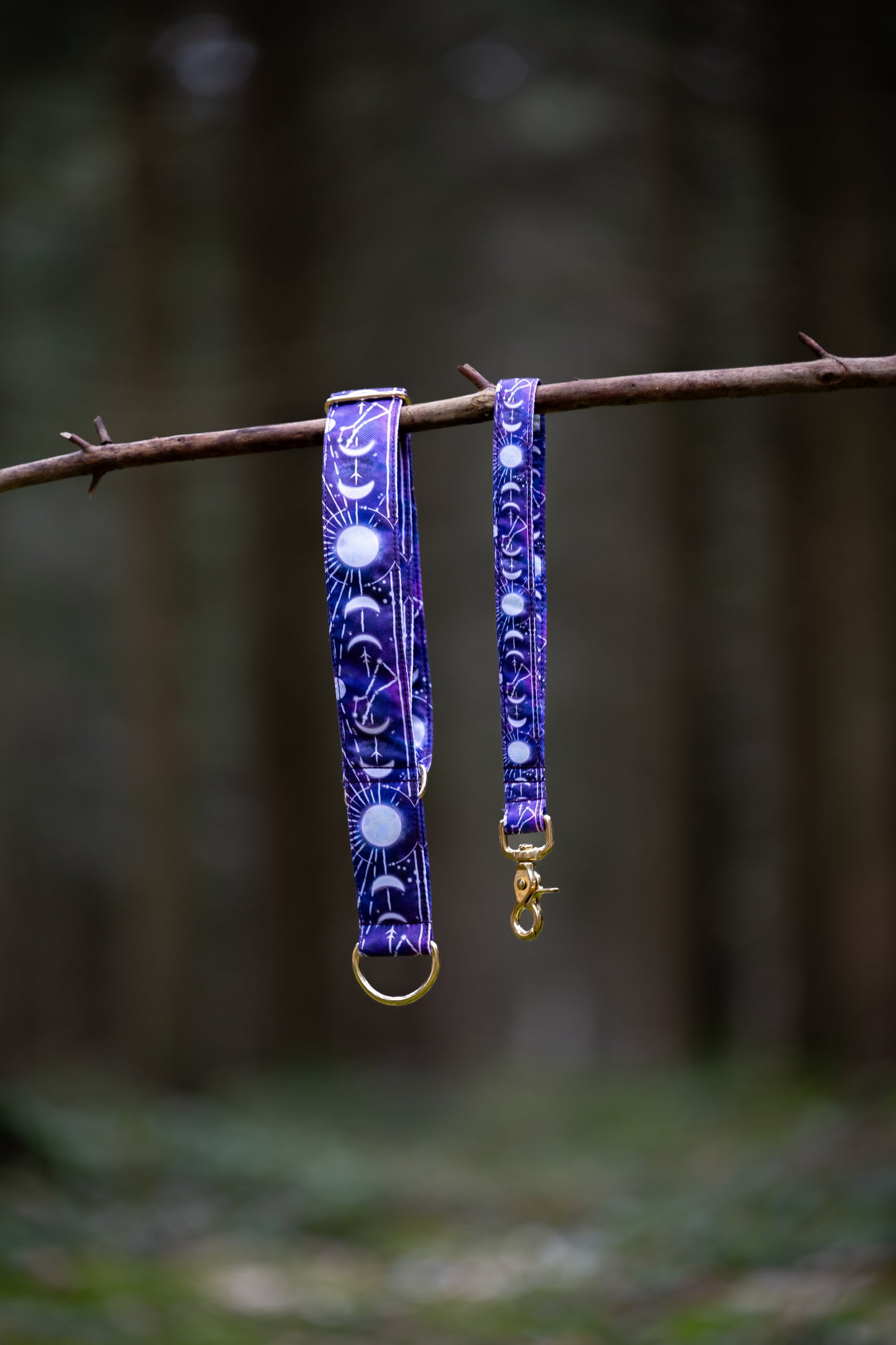 Collier pour chien - Moon