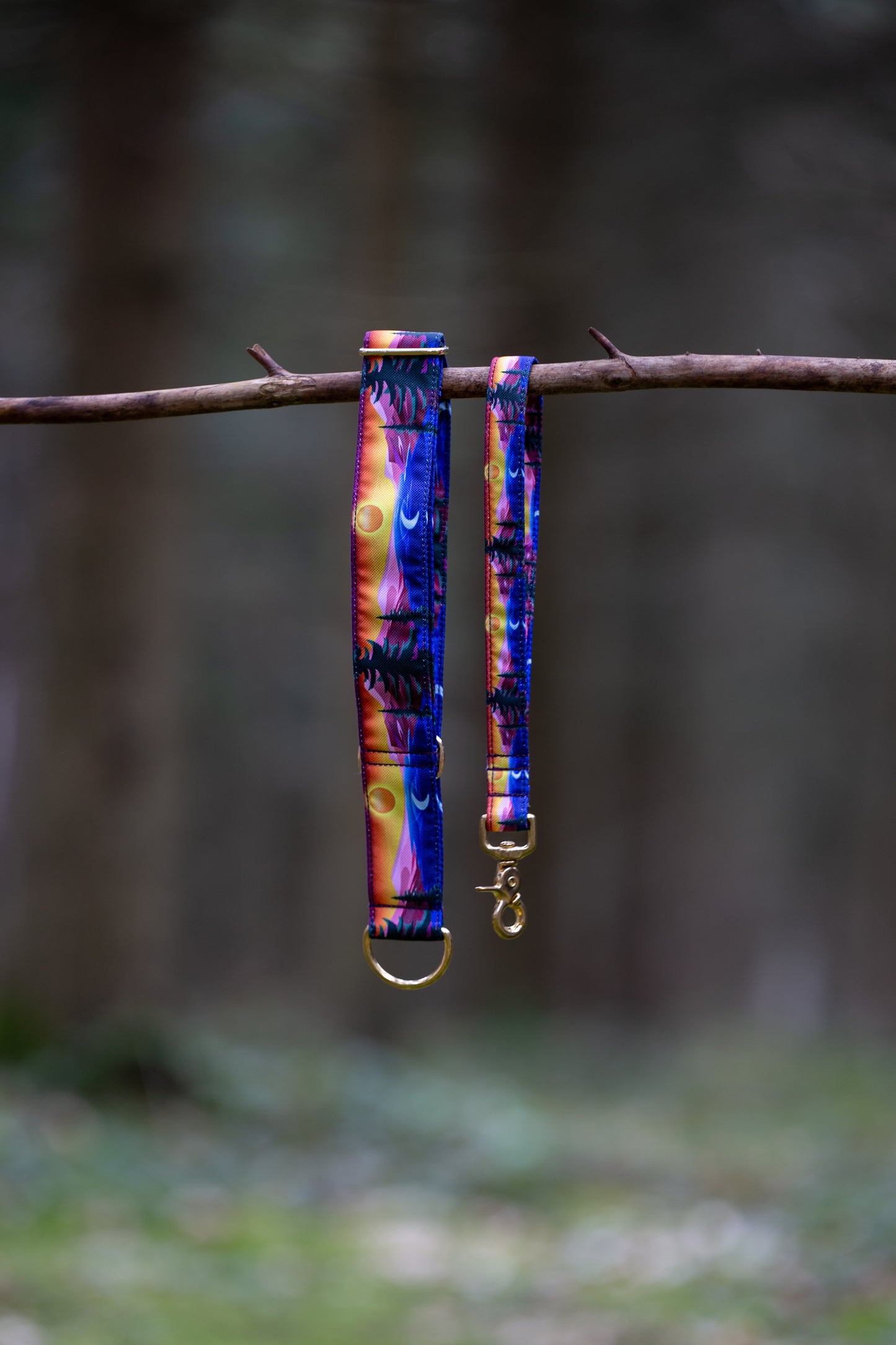 Collier pour chien - Horizon