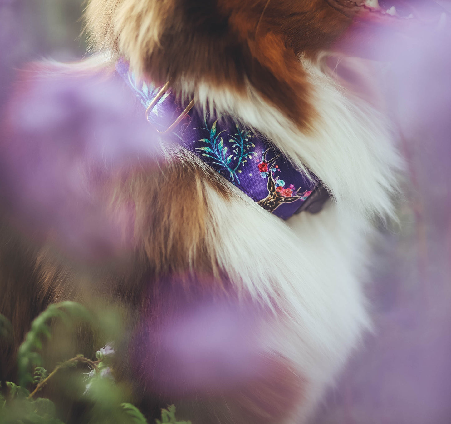 Cerf - Collier pour chien