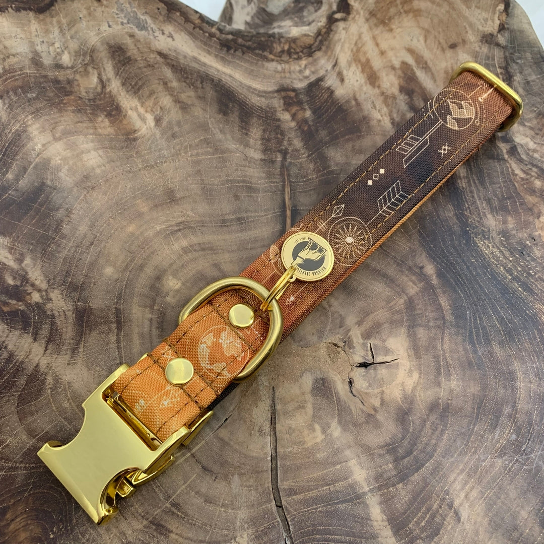 Collier pour chien - Aventure Camel