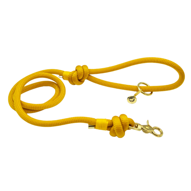 Laisse en corde Golden