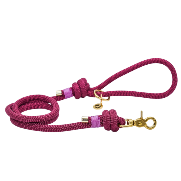 Laisse en corde Framboise