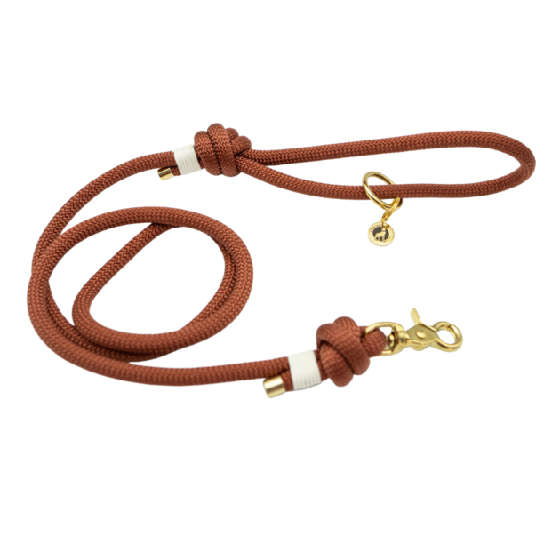 Laisse en corde Bronze