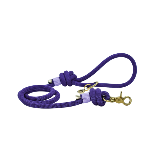 Laisse en corde Violet