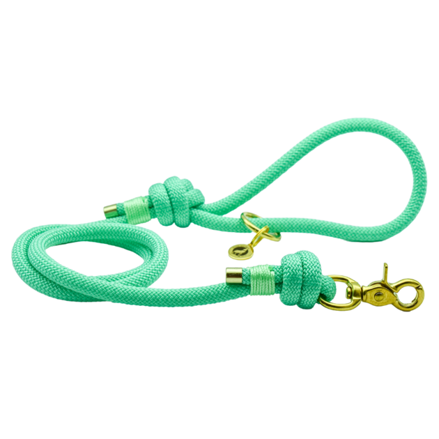 Laisse en corde Menthe