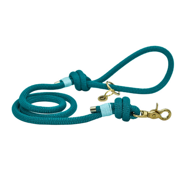 Laisse en corde Aqua