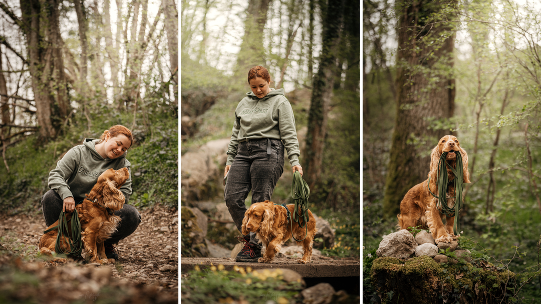 Longes pour chien