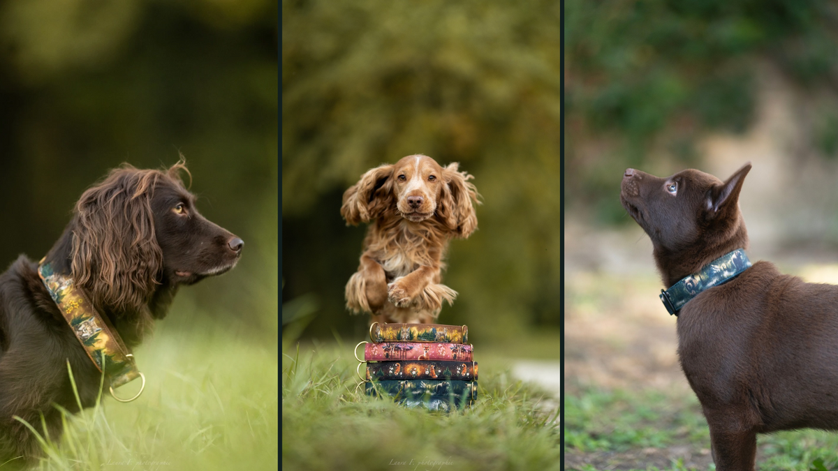 Collection Totem 2.0