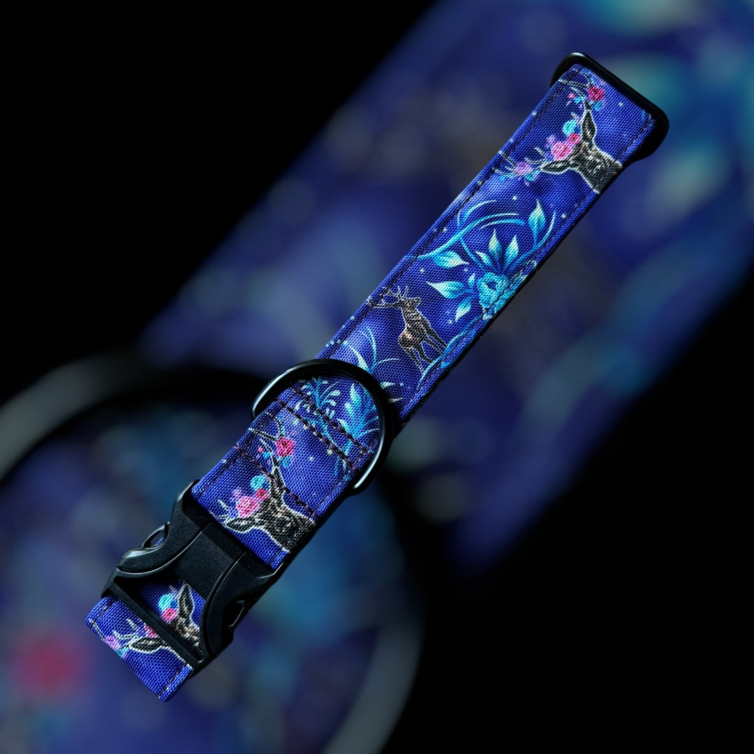 Collier Taille L - Clip plastique 38mm