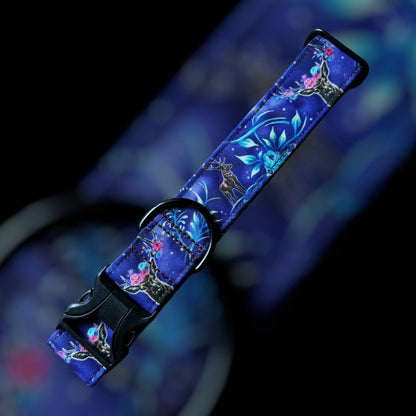 Collier Taille L - Clip plastique 38mm