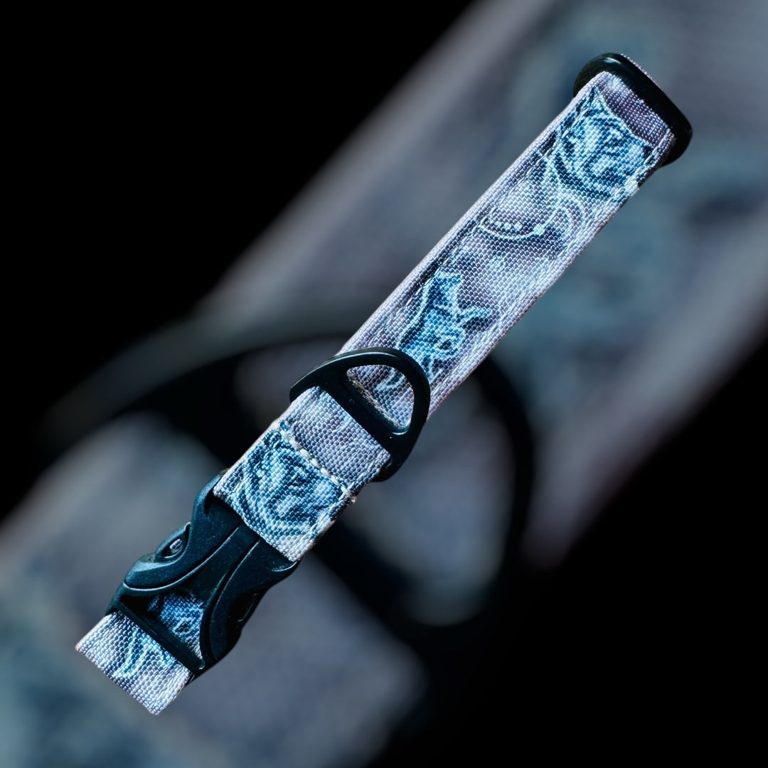 Collier Taille S - CLIP plastique 20mm