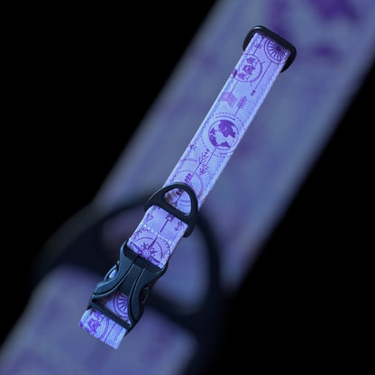 Collier Taille M - Clip plastique 25mm