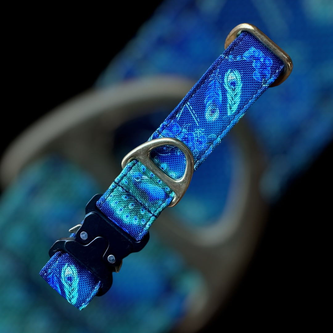 Collier Taille S - Clip sécu 25mm