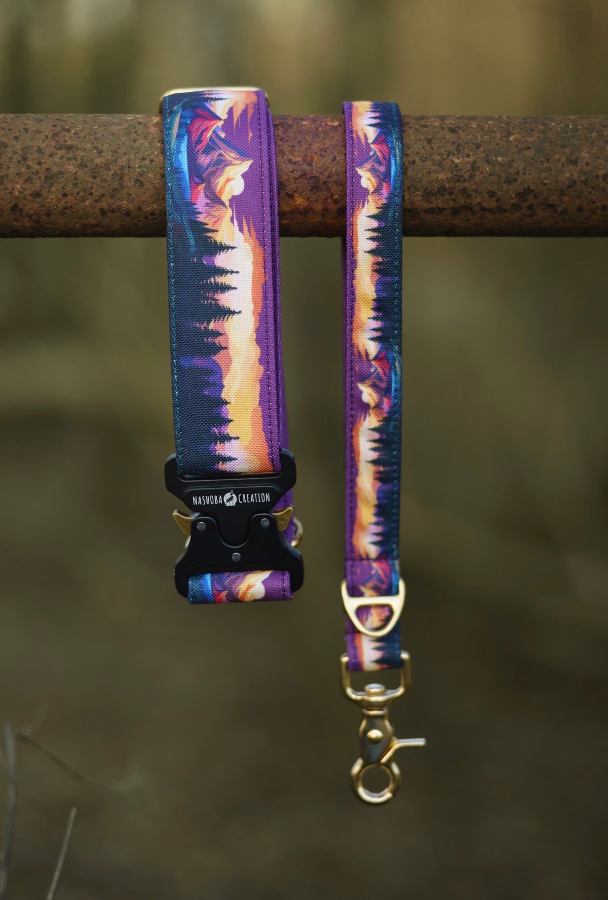 Collier pour chien - Amber Valley