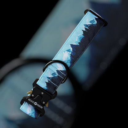 Collier Taille M - Clip sécu 38mm