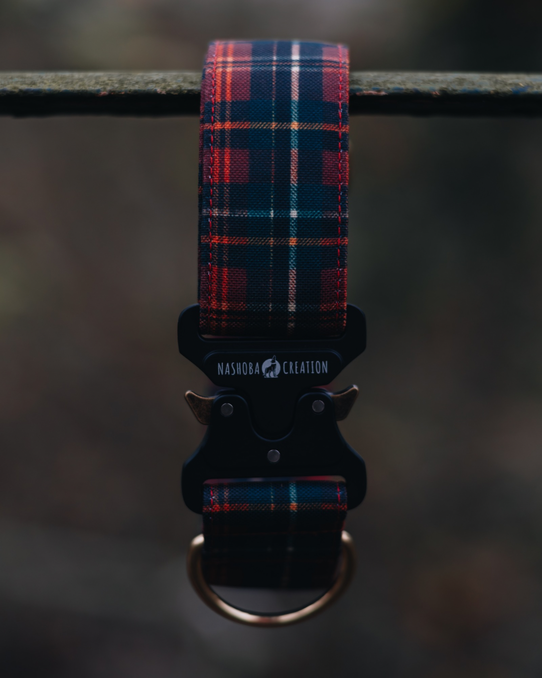 Collier pour chien - Tartan Fraser