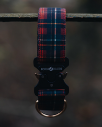 Collier pour chien - Tartan Fraser