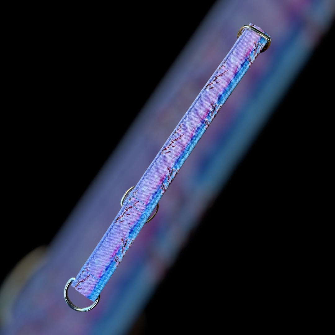 Martingale Taille L (36cm à 67cm) - 25mm