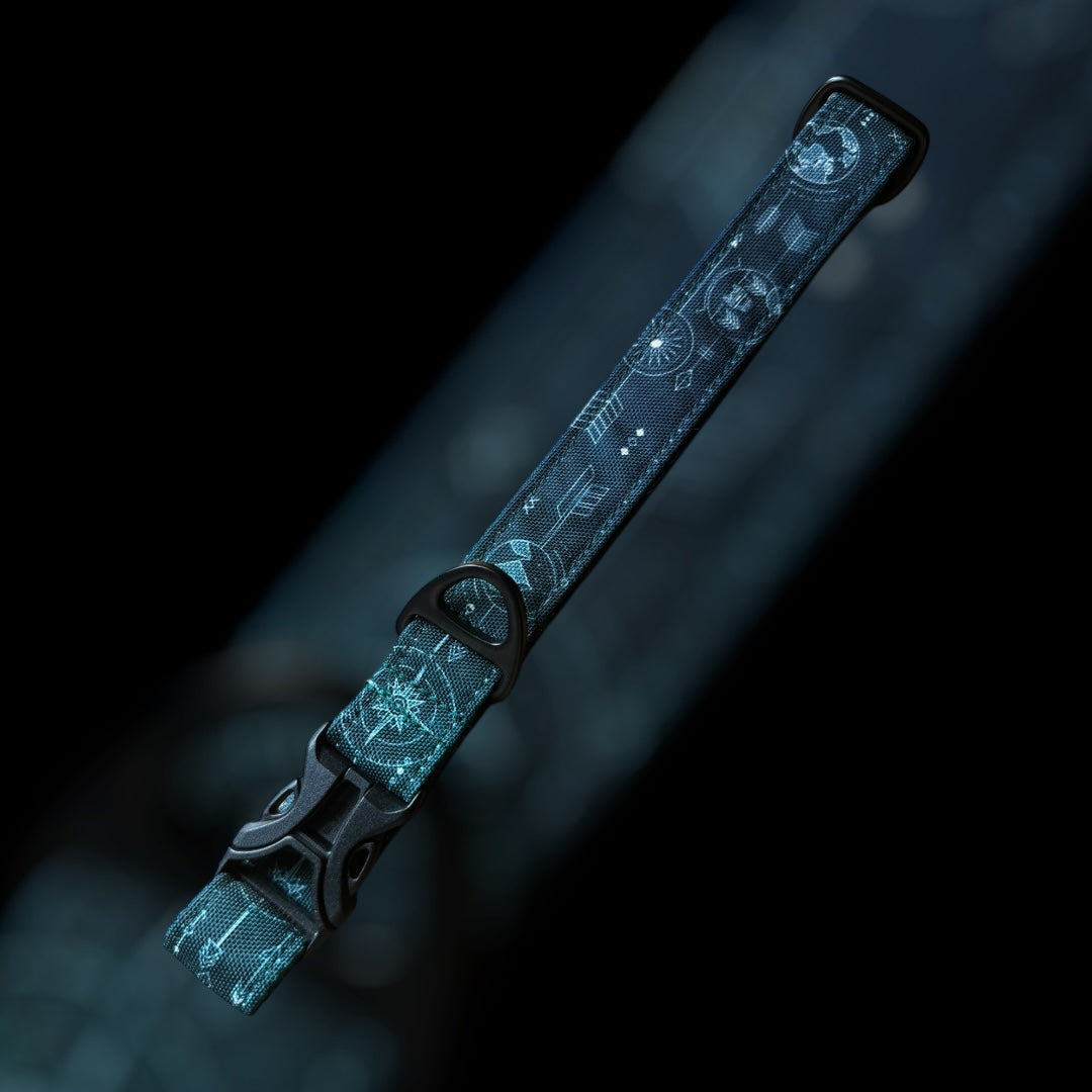 Collier Taille L - Clip plastique 25mm